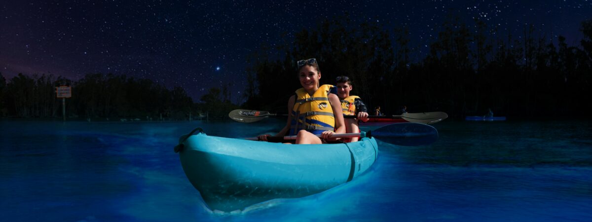 Saving Florida’s Bioluminescent Waters, One Kayak Trip at a Time