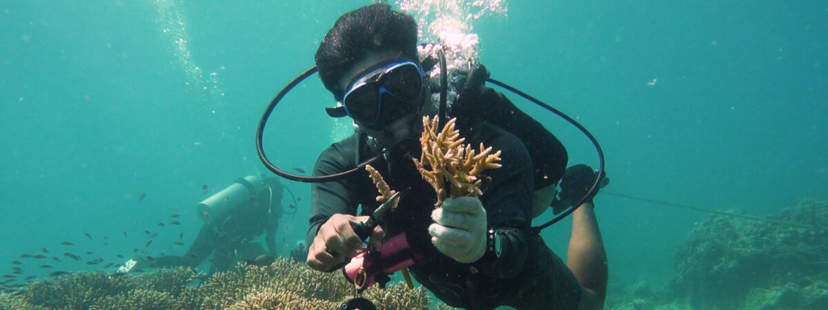 Meet Andre Saputra, the marine scientist championing coral restoration in Indonesia