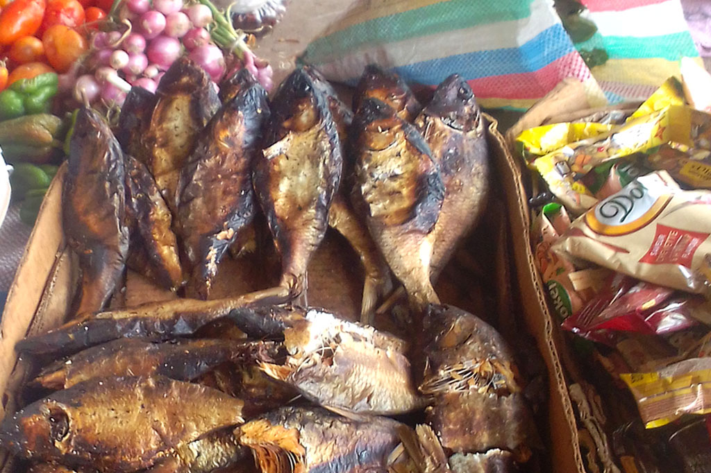 Smoked bonga fish in Janjanbureh market ready for breakfast in Gambia