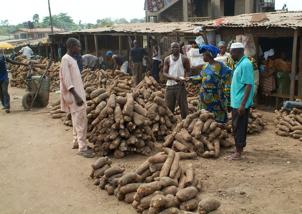Some yams go to market; the rest feed farmers’ families. | Yam tubers at Bodija market, Nigeria IITA (CC BY-NC 2.0)