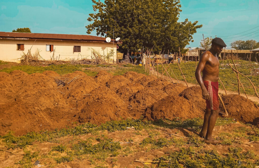 Among the Igbo people, yam planting is regarded as a job for men. Location: Nigeria | Omotayo Tajudeen, Unsplash