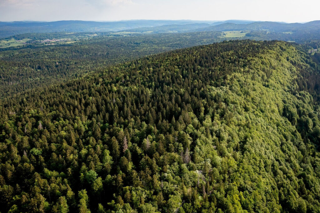 A bird's eye view of Jura's forests.