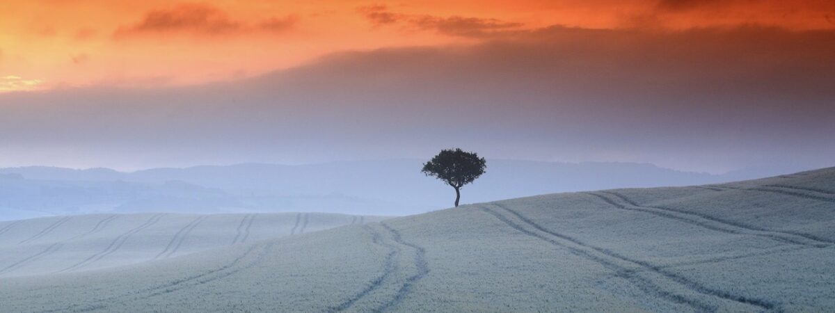 Between Earth and Sky: the Great Beauty of Siena and Val d’Orcia